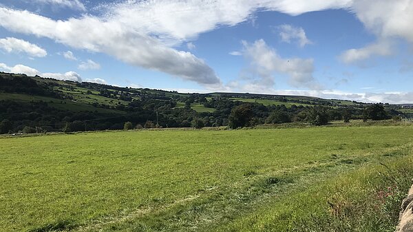 Protect our green fields