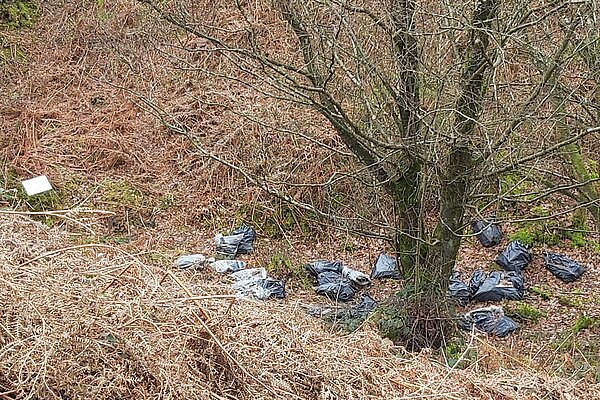 Fly-tipped rubbish that Stuart got removed